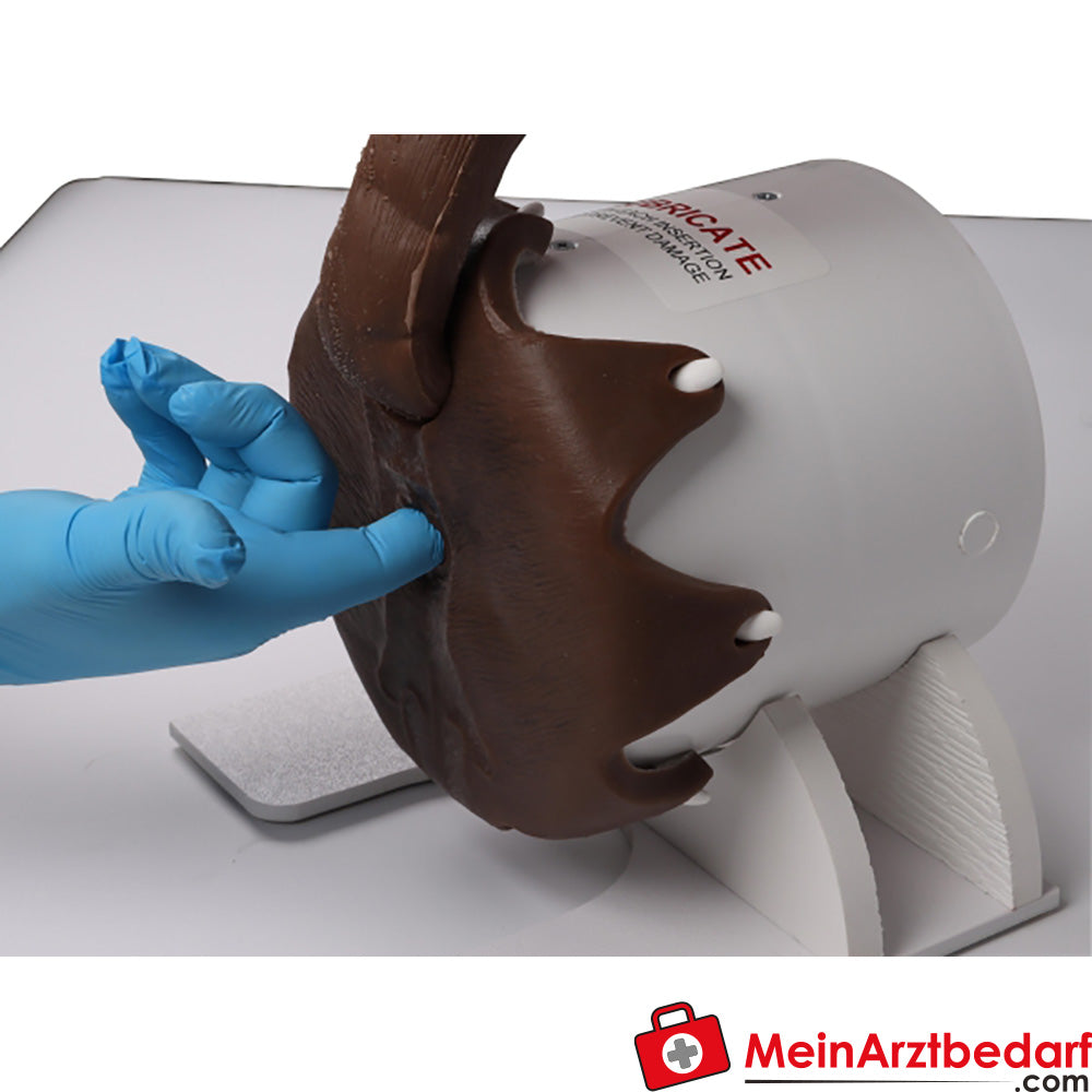 Erler-Zimmer Rektaler Untersuchungssimulator Hund.