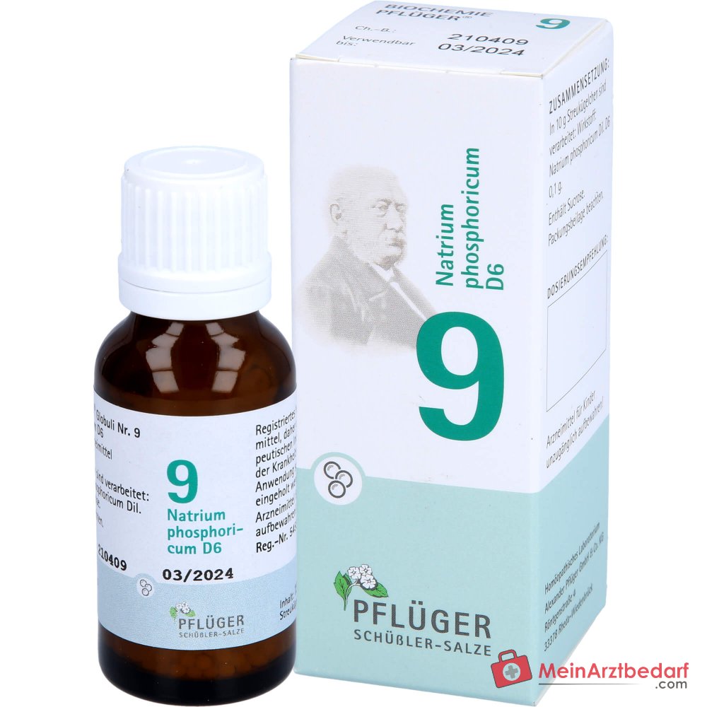 BIOCHEMIE PFLÜGER Nr 9 Natrium phosphoricum D6 homeopatyczny środek leczniczy