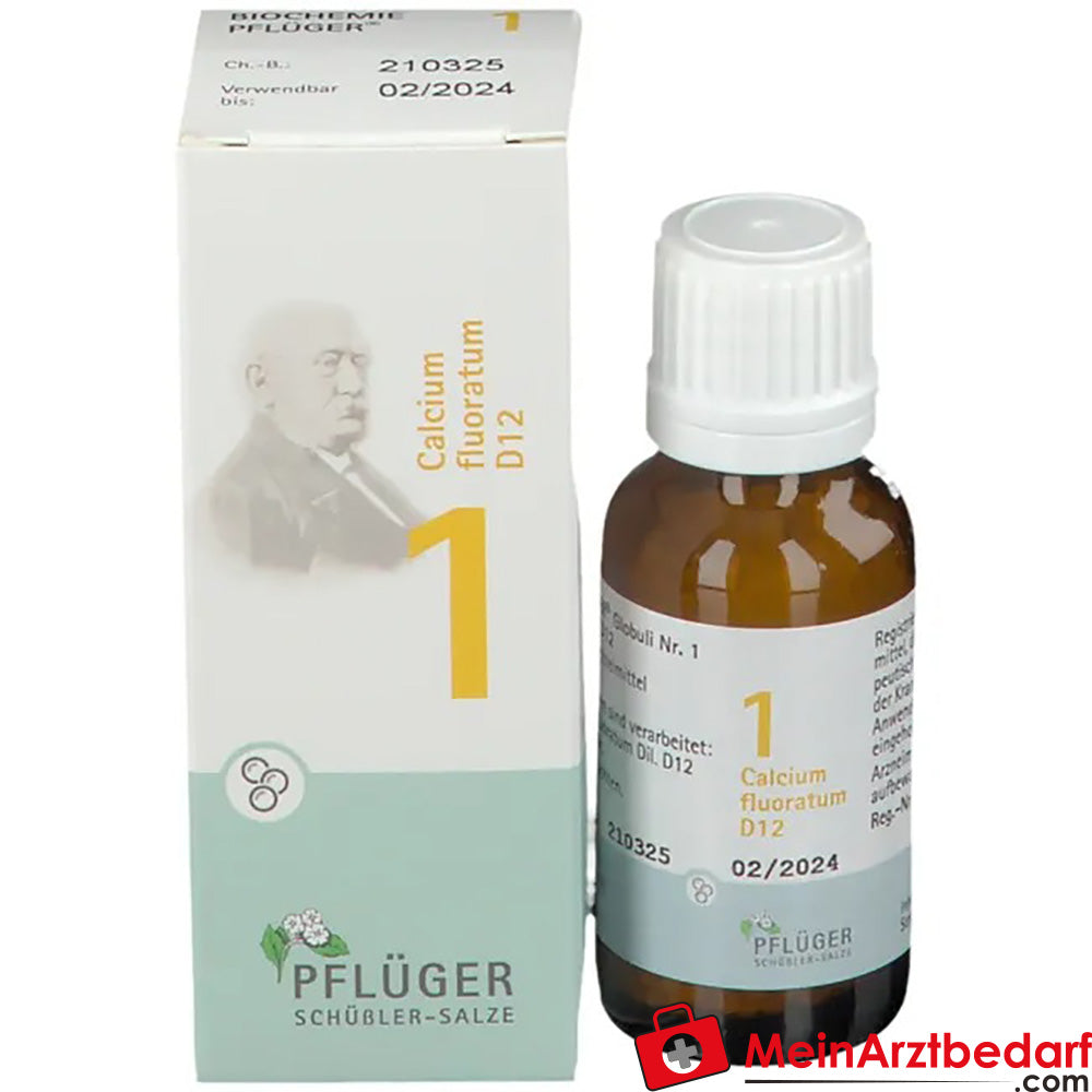 BIOCHEMIE PFLÜGER Nr. 1 Calcium fluoratum D 12.