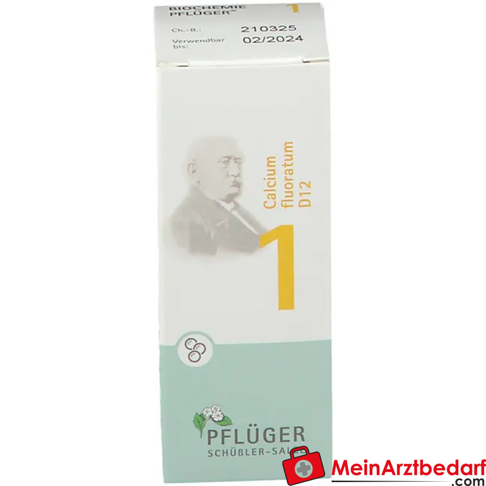 BIOCHEMIE PFLÜGER Nr. 1 Calcium fluoratum D 12.