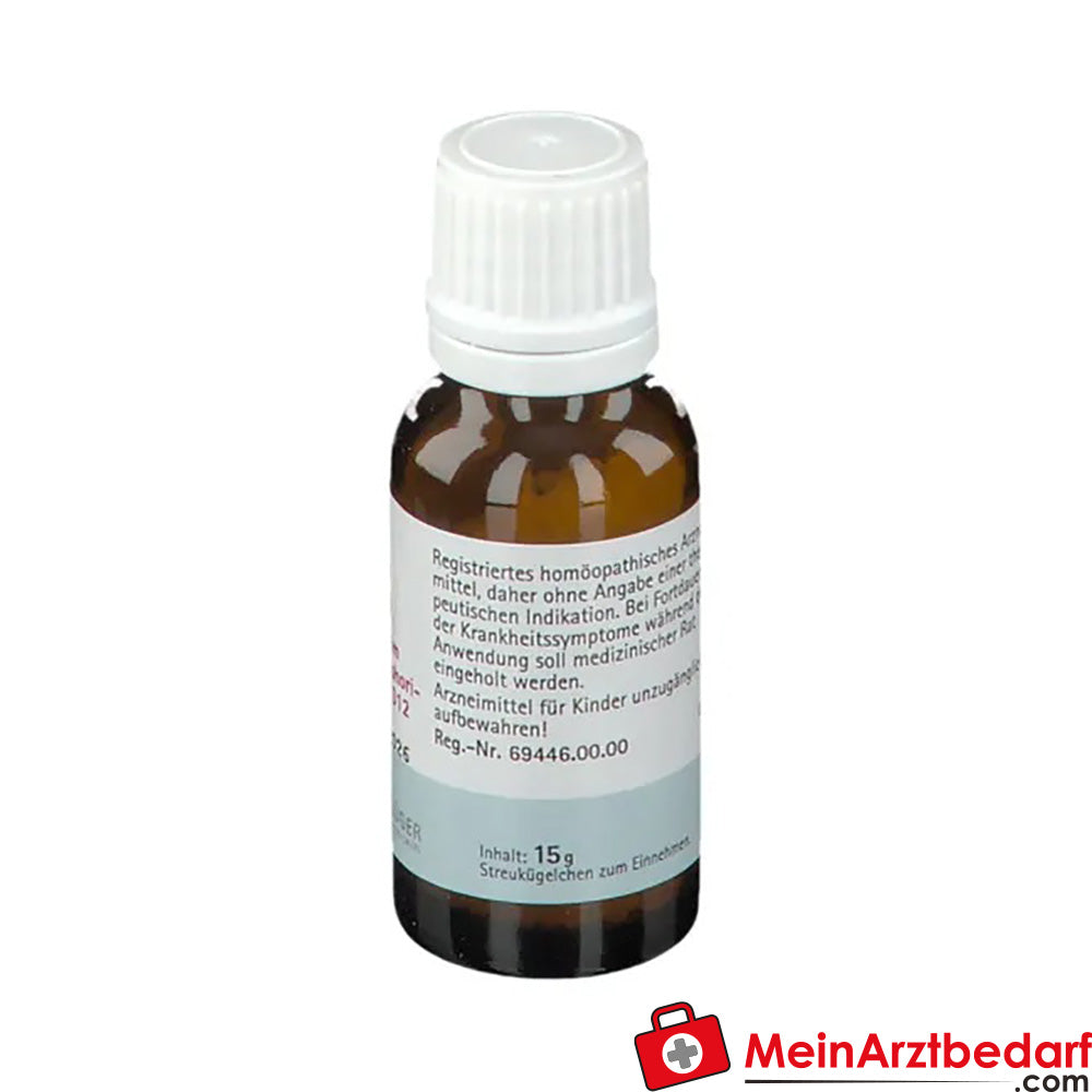 BIOCHEMIE PFLÜGER Nr. 3 Ferrum phosphoricum D12.