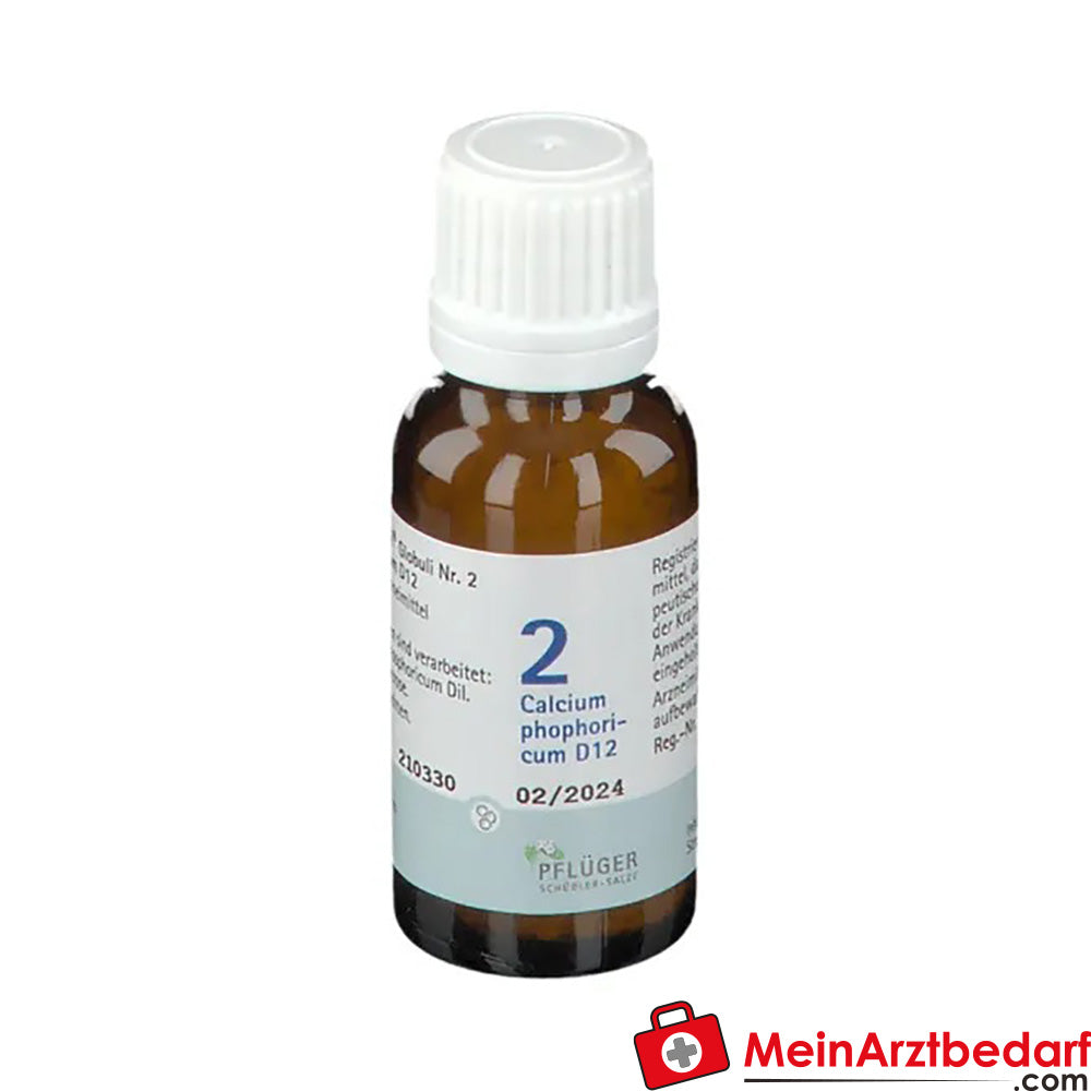 BIOCHEMIE PFLÜGER No. 2 Calcium phosphoricum D 12.