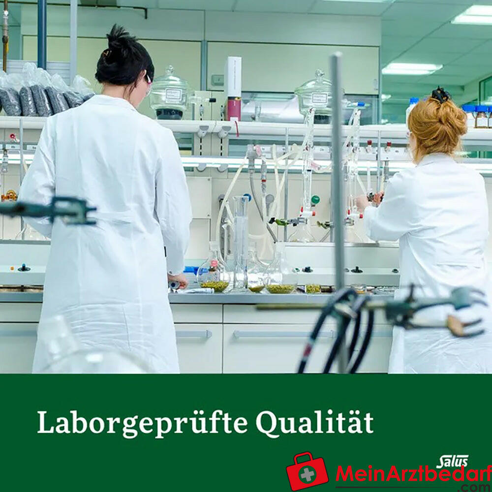 Salus® Kräuterblut® Floradix® Eisen Folsäure, 84 St..