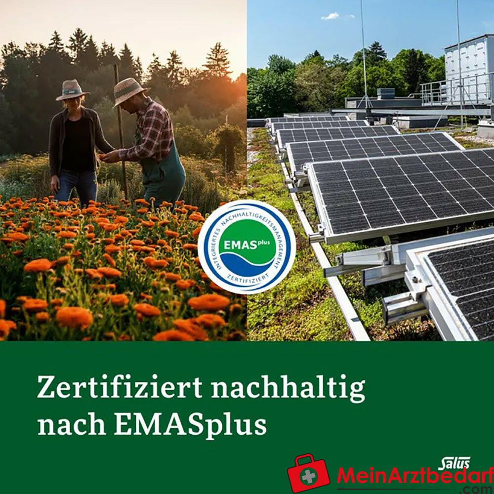 Salus® Kräuterblut® Floradix® Eisen Folsäure, 84 St..