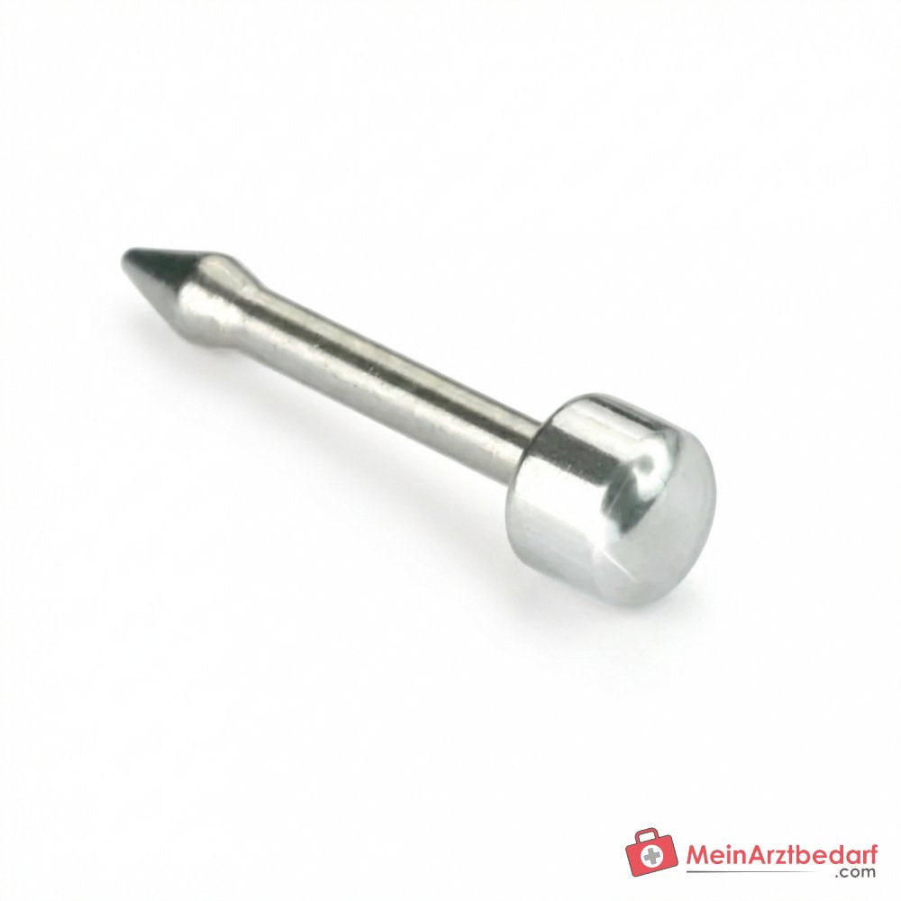 Blomdahl Nasenpiercing Plain silber, 10 Stk..