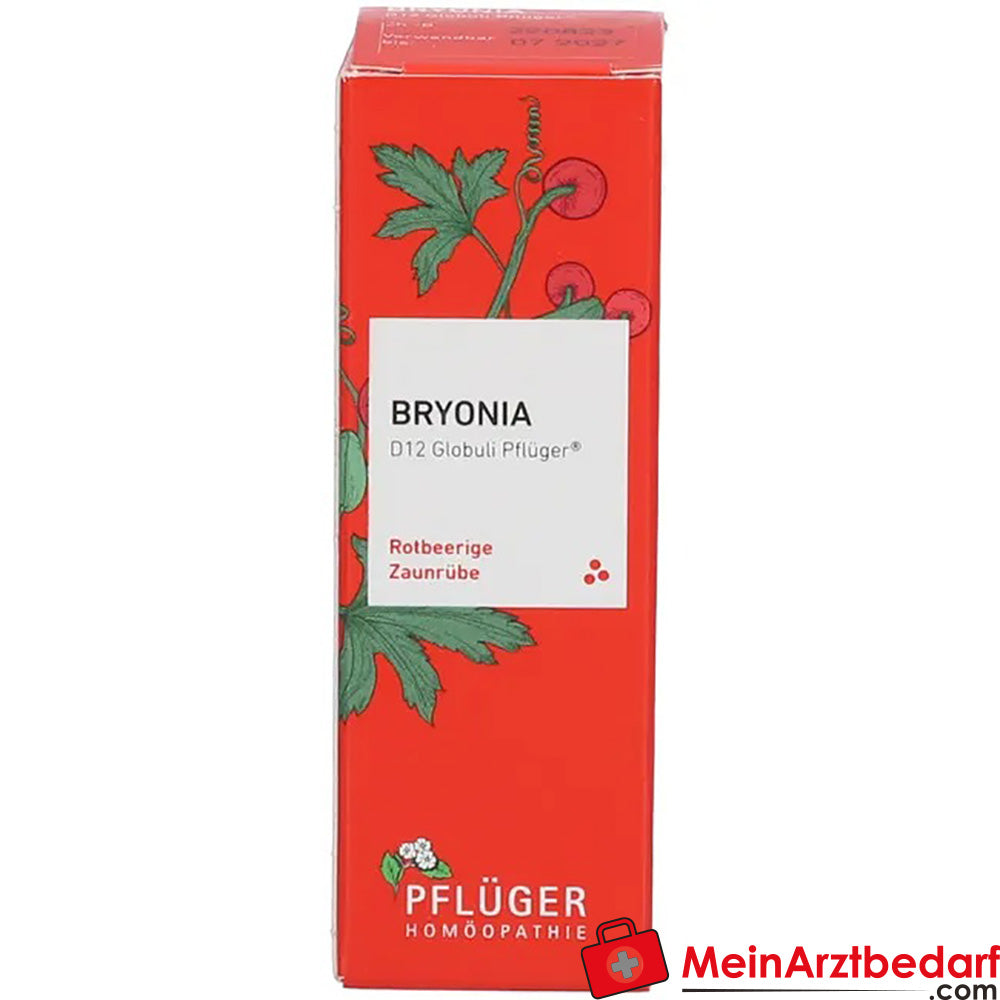 Bryonia D12 Globuli Pflüger® Rotbeerige Zaunrübe.