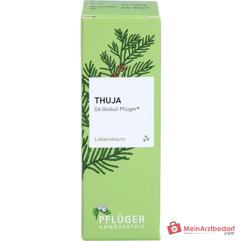 Pflüger Thuja D6 Globuli Thuja occidentalis D6 Streukügelchen 10 g