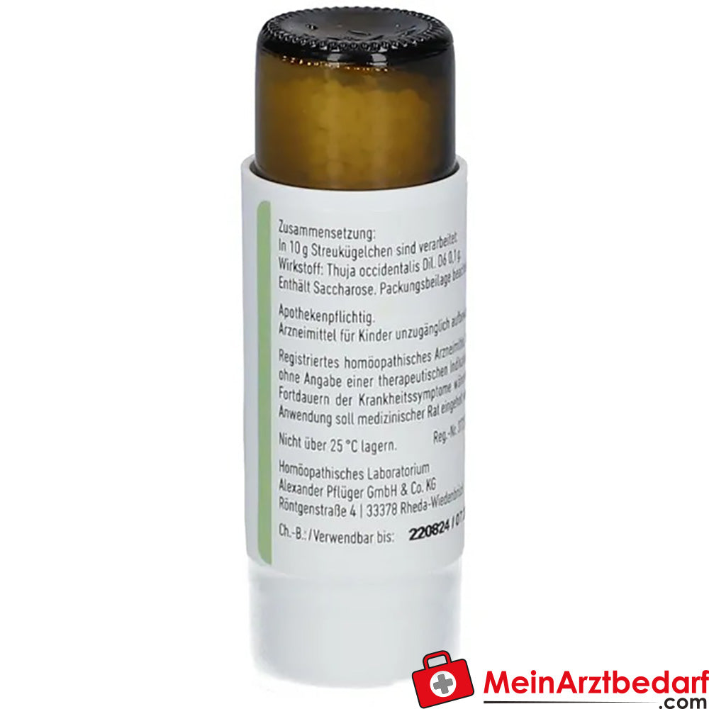 Thuja D6 Globuli Pflüger®.
