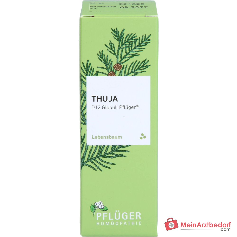 Pflüger Thuja D12 Globuli 10 g mit Dosierspender