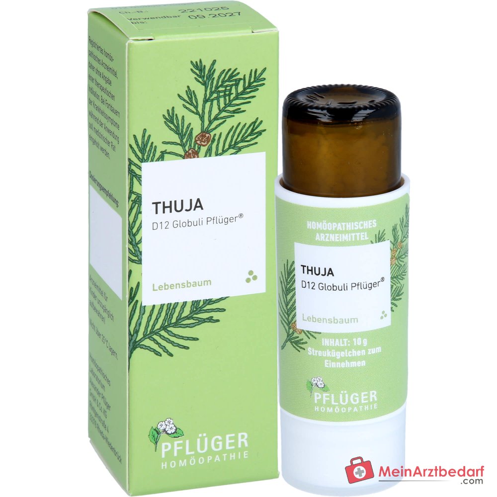Pflüger Thuja D12 Globuli 10 g mit Dosierspender