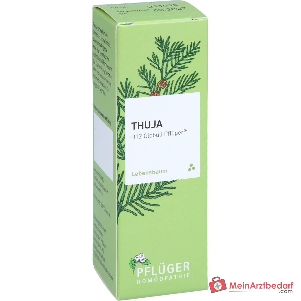 Pflüger Thuja D12 Globuli 10 g mit Dosierspender