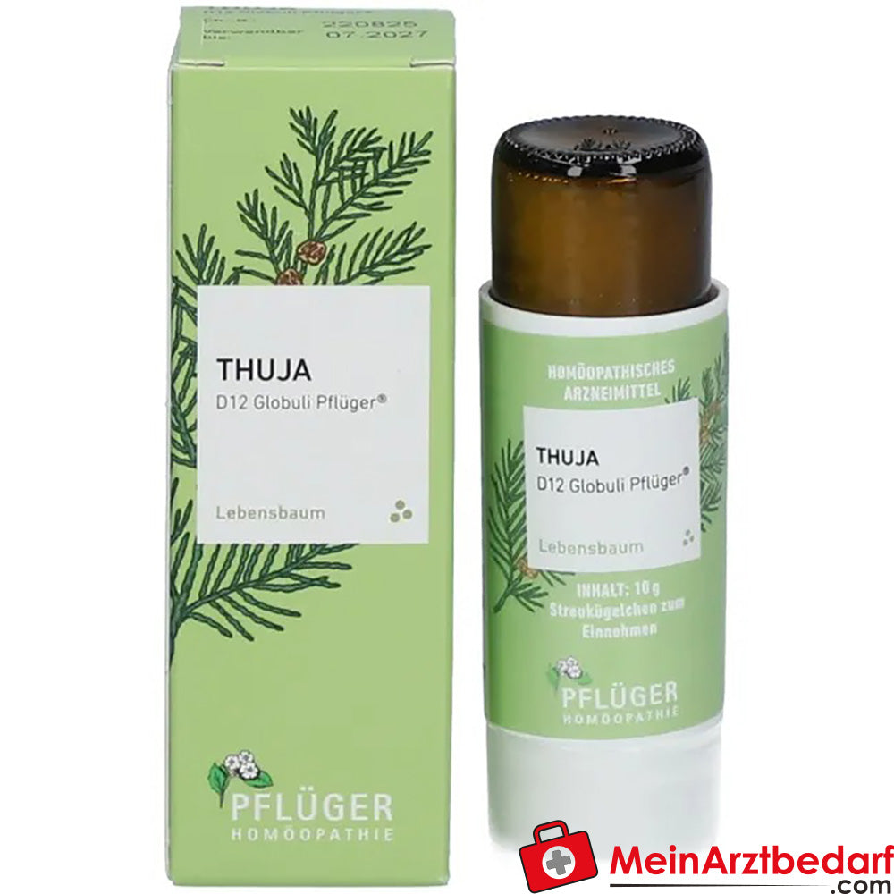 Thuja D12 Globuli Pflüger®.