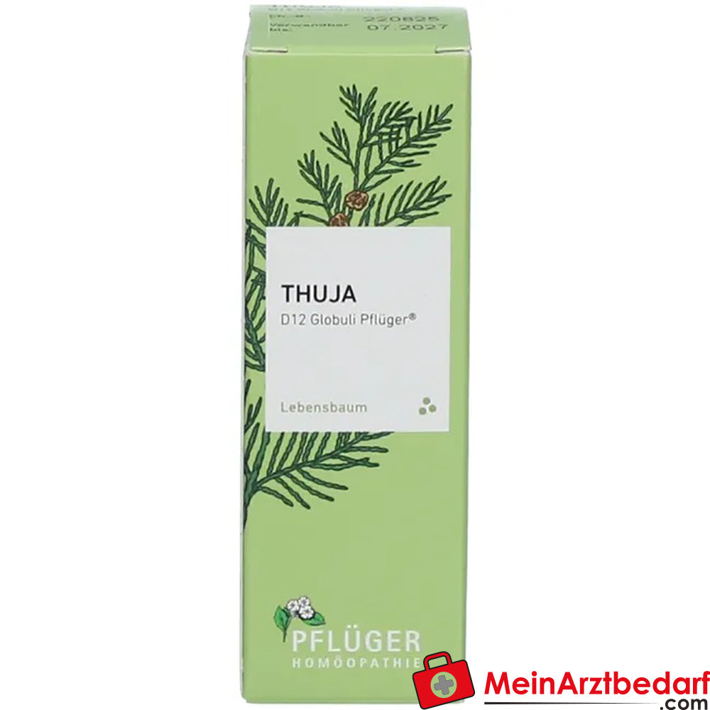 Thuja D12 Globuli Pflüger®.