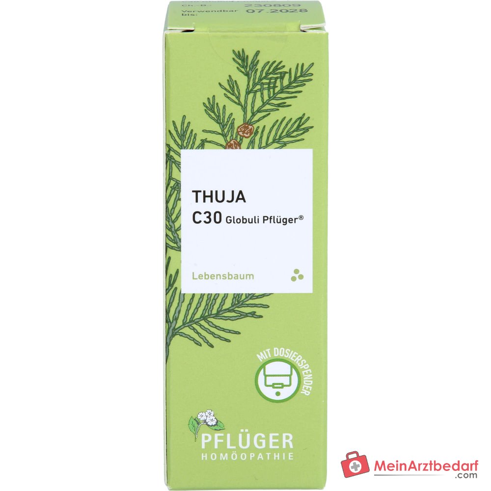 Pflüger Thuja extern Globuli Thuja occidentalis C30 (10 mg) 10 g