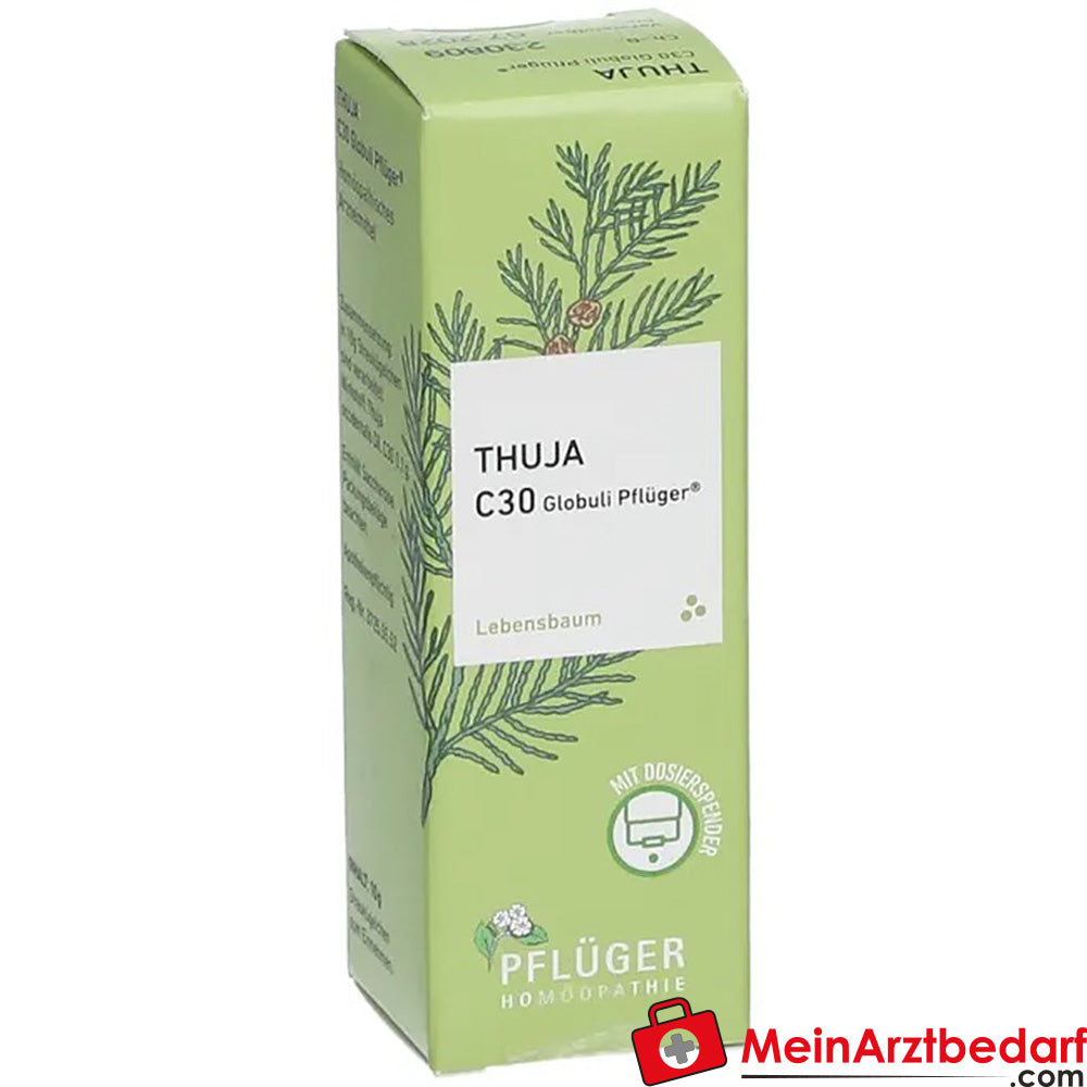 Thuja extern Globuli Pflüger®.