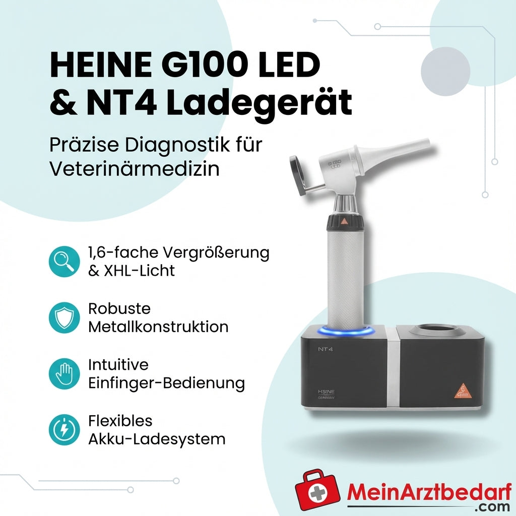 Heine G100 LED slotted headpiece XHL, 1.6x magnification, metal, BETA4 NT charging handle, NT4 desktop charger