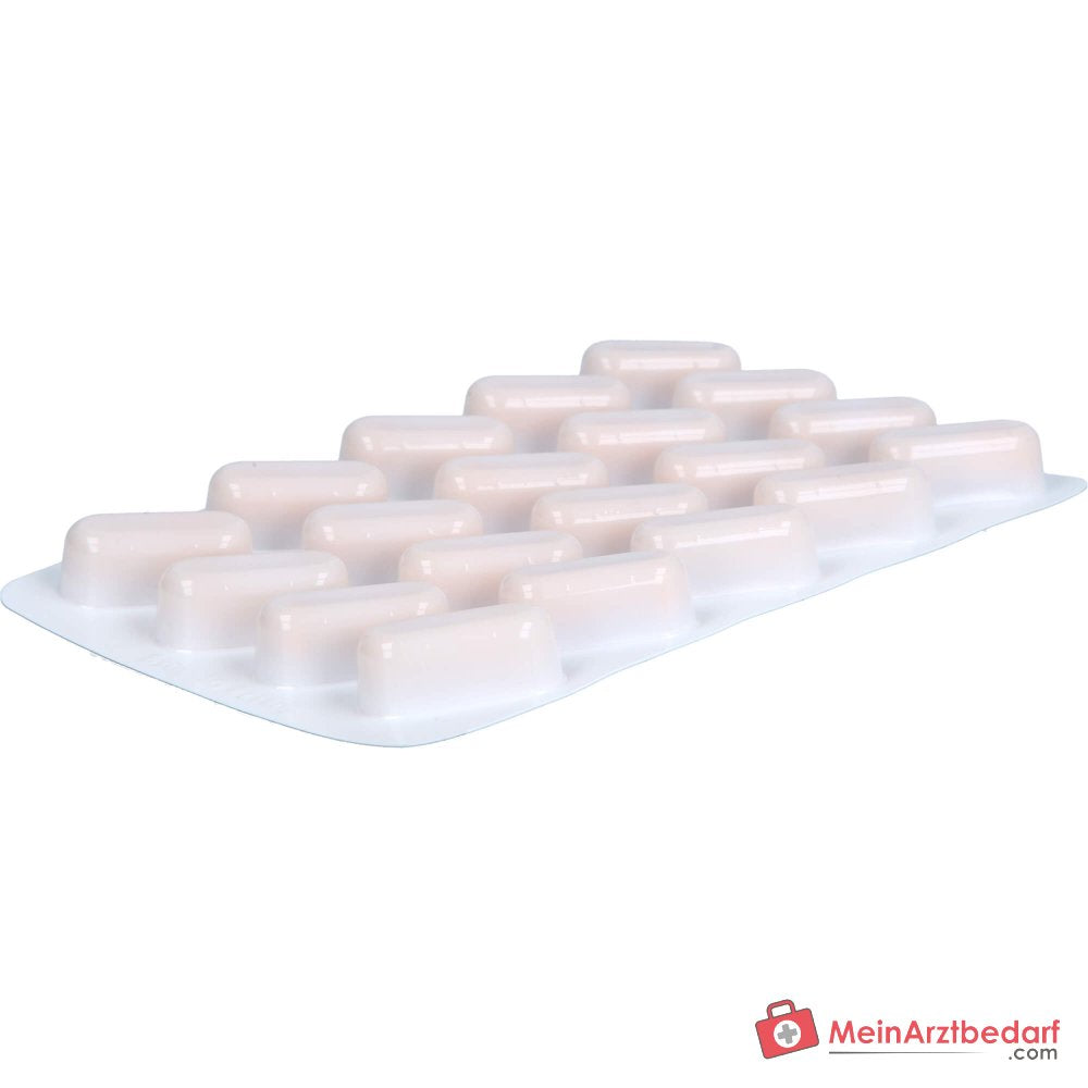 Hevert Witamina B Komplet All-in-One Kapsułki, 120 szt.