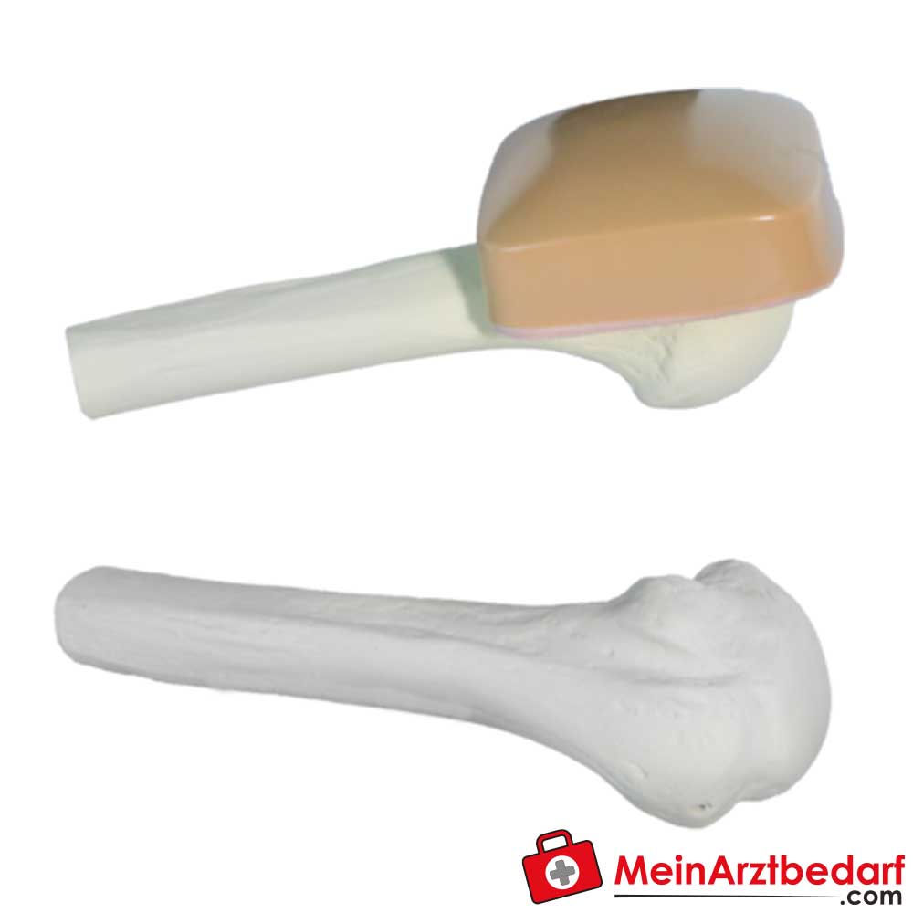 Arrow EZ-IO Humerus-Trainingsknochen mit oder ohne Hautstück.