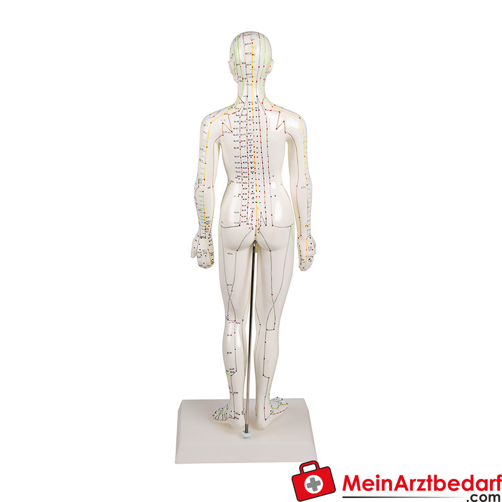 Erler-Zimmer Chinesische Akupunkturfigur.