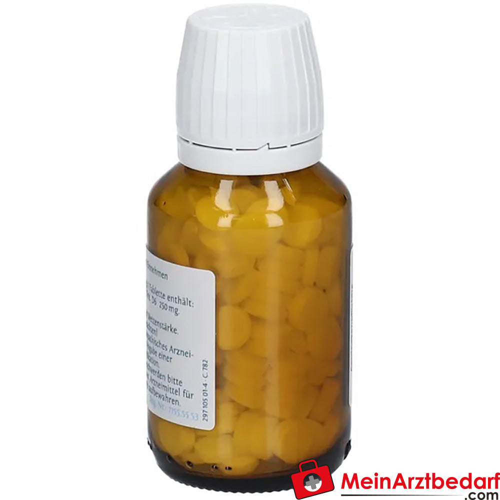 DHU Schüßler-Salz Nr. 1® Calcium fluoratum D6.