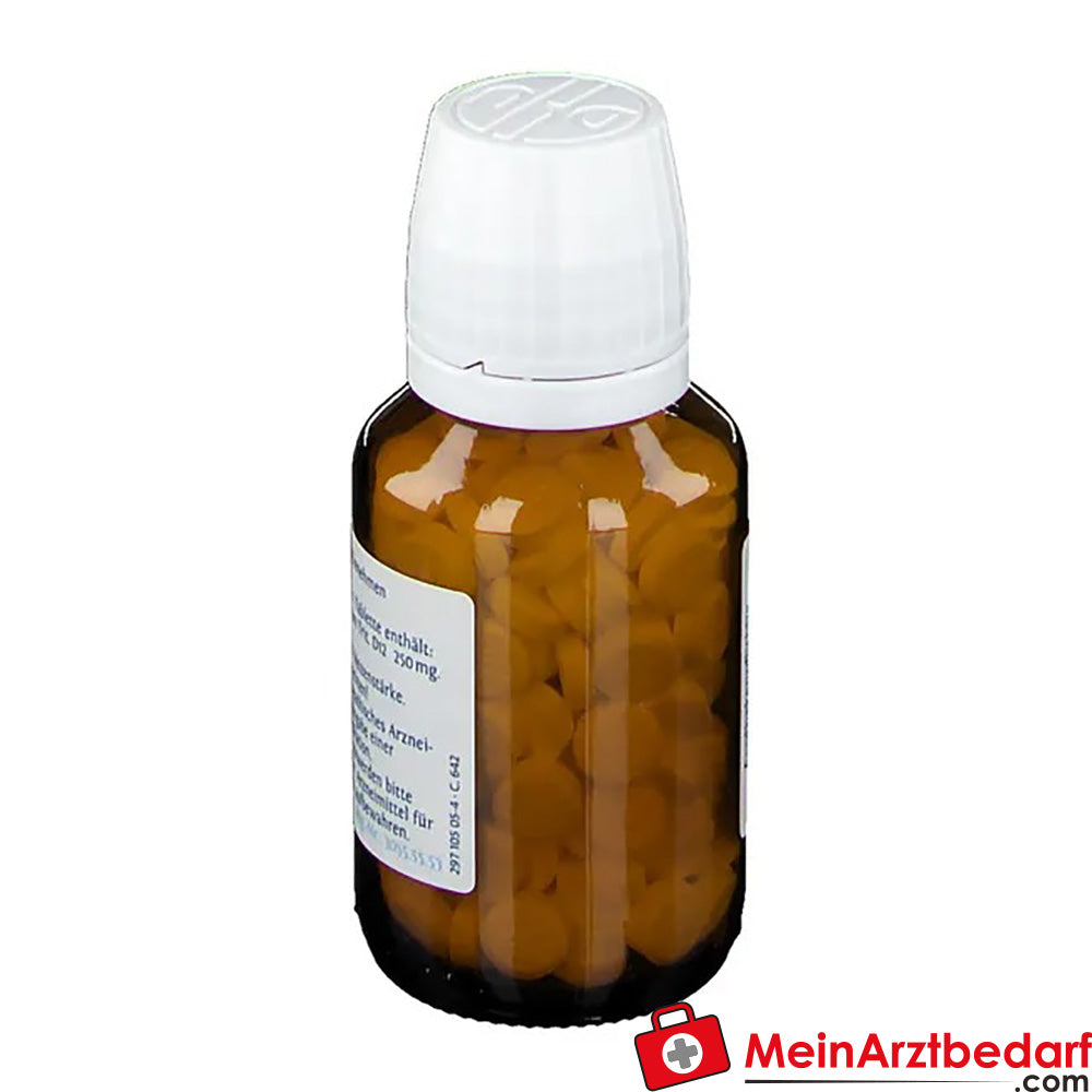 DHU Schüßler-Salz Nr. 2® Calcium phosphoricum D12.