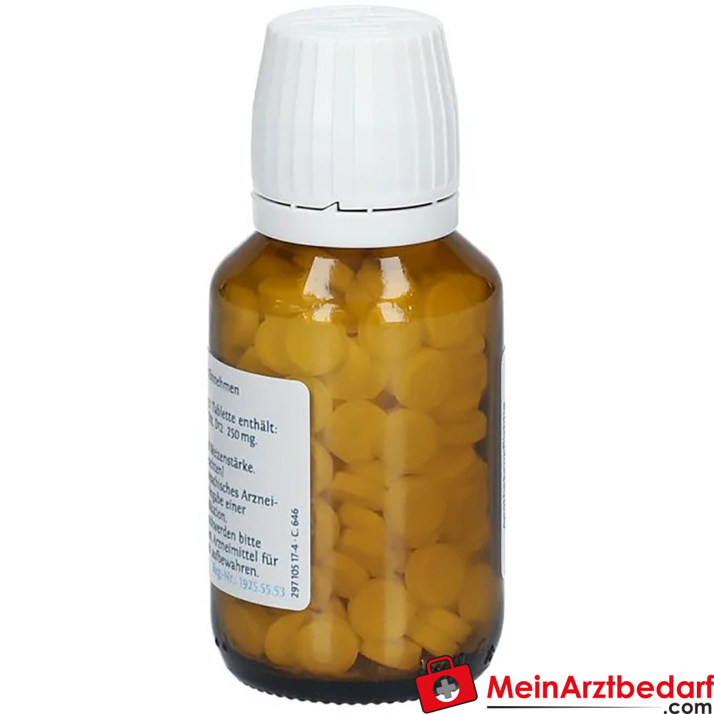 DHU Schüßler-Salz Nr. 6® D12.