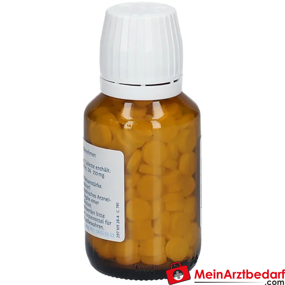 DHU Schüßler-Salz Nr. 10® Natrium sulfuricum D6.