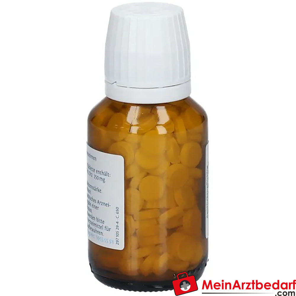 DHU Schüßler-Salz Nr. 10® Natrium sulfuricum D12.