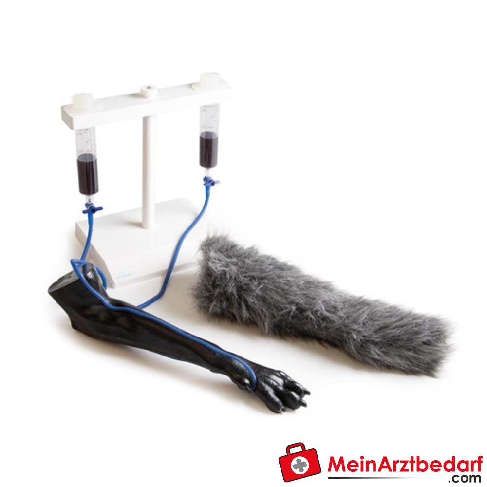 Erler-Zimmer I.V. Injektionsbein Hund.