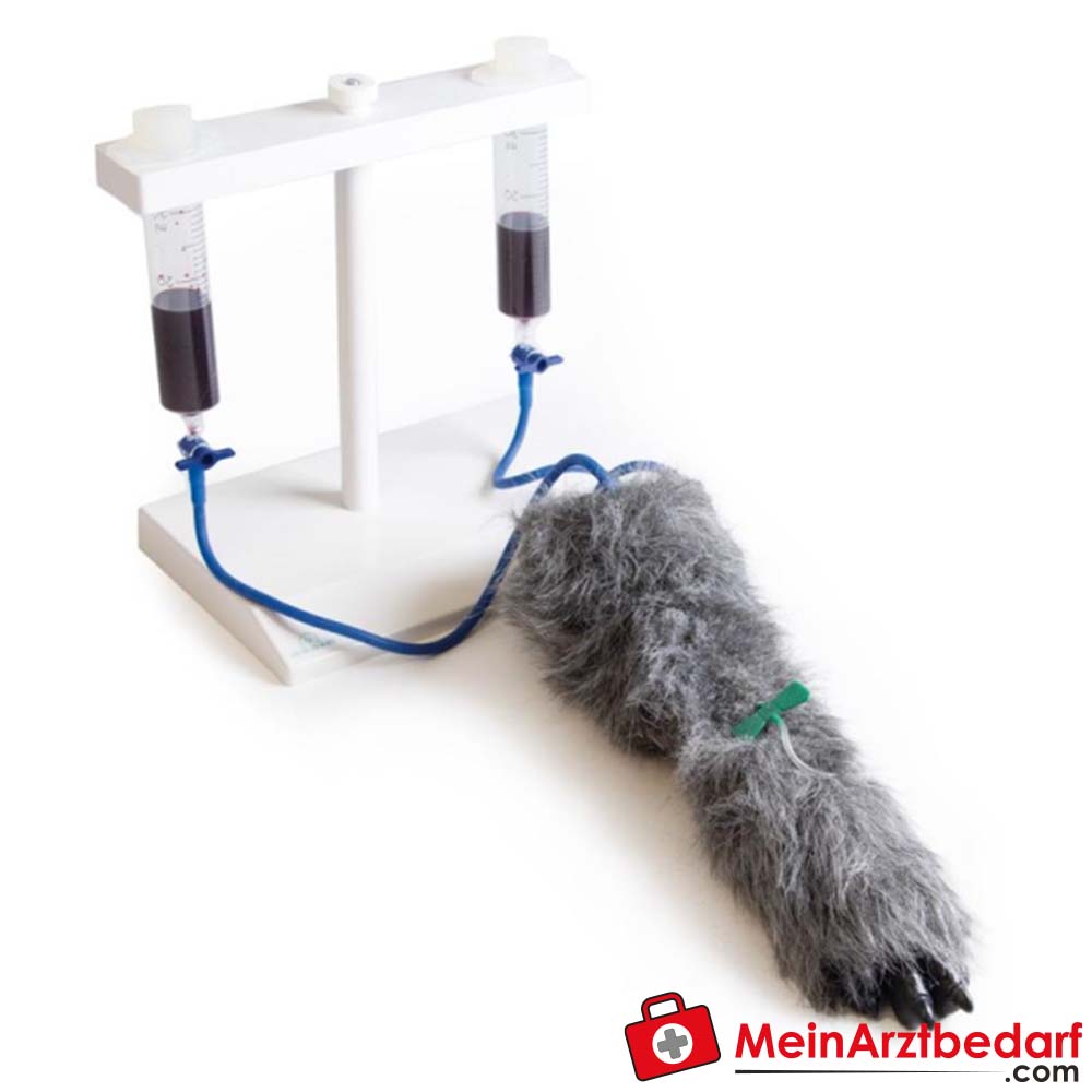 Erler-Zimmer I.V. Injektionsbein Hund.