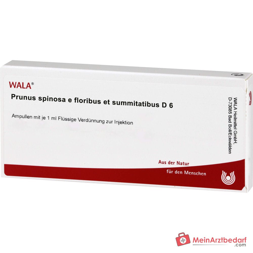WALA Prunus spinosa aux fleurs et aux sommets D6 Ampoules, 10 x 1 ml