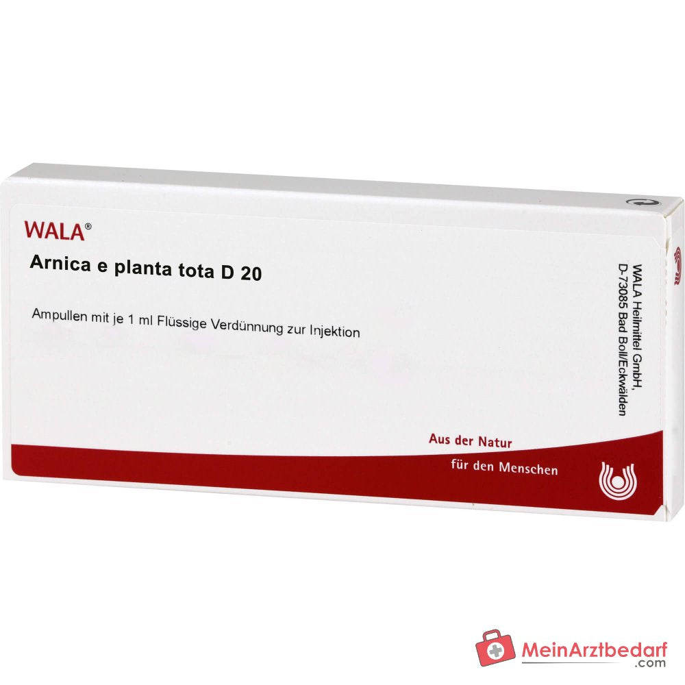 WALA Arnica e planta tota D20 Arnica montana Ampollas, 10 x 1 ml
