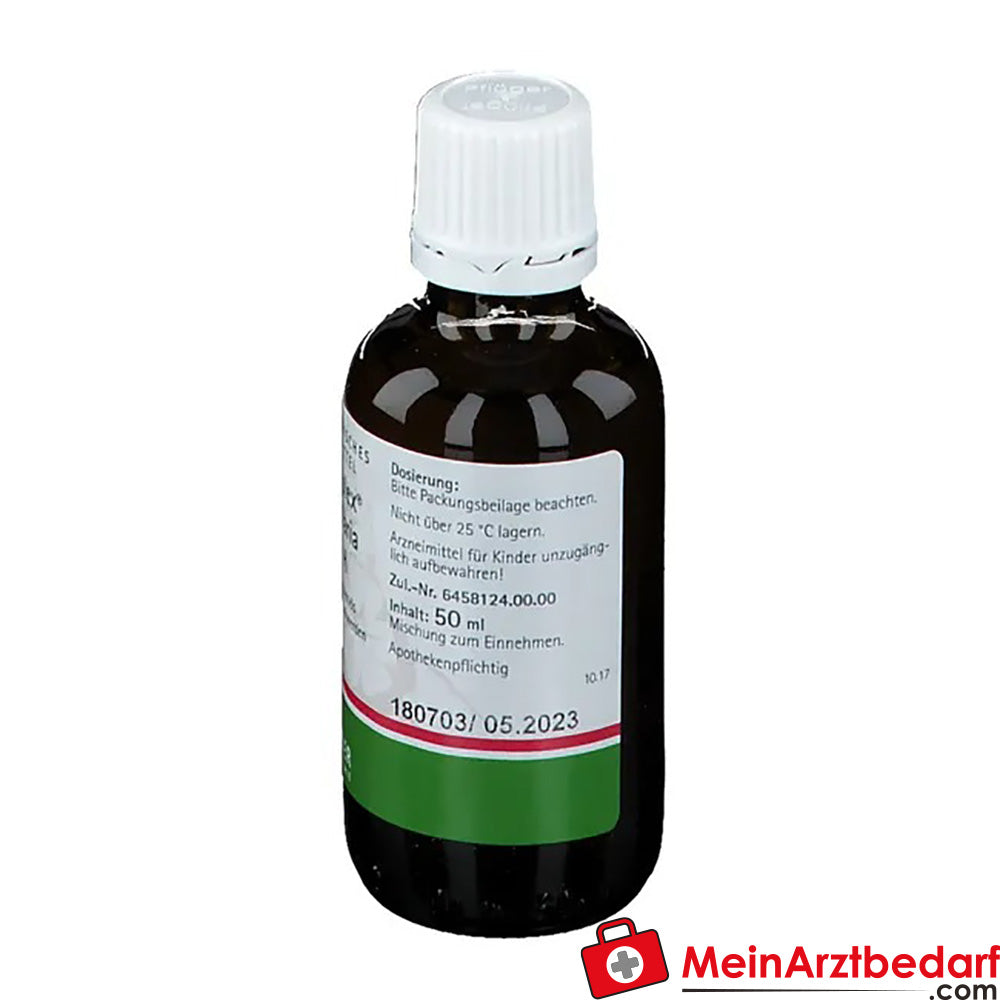 Pflügerplex® Convallaria 137 H.