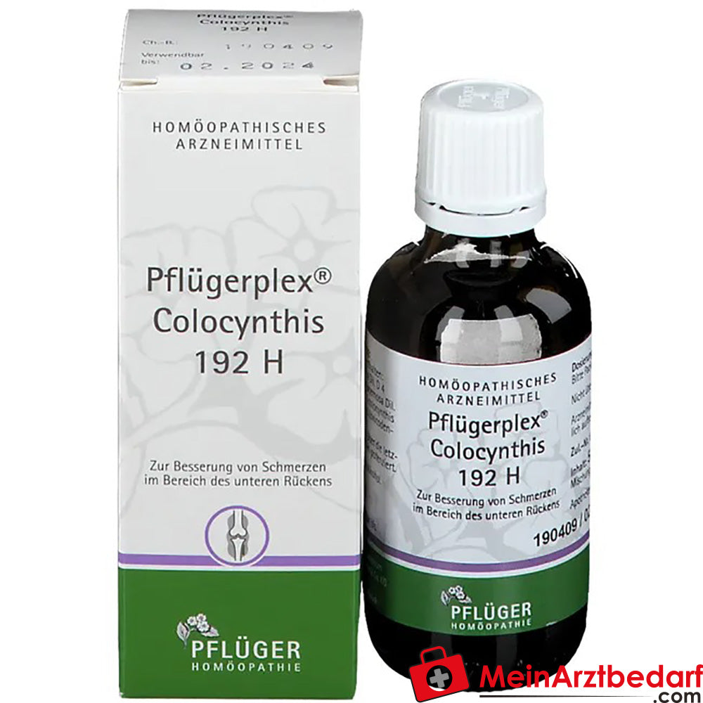 Pflügerplex® Colocynthis 192 H.