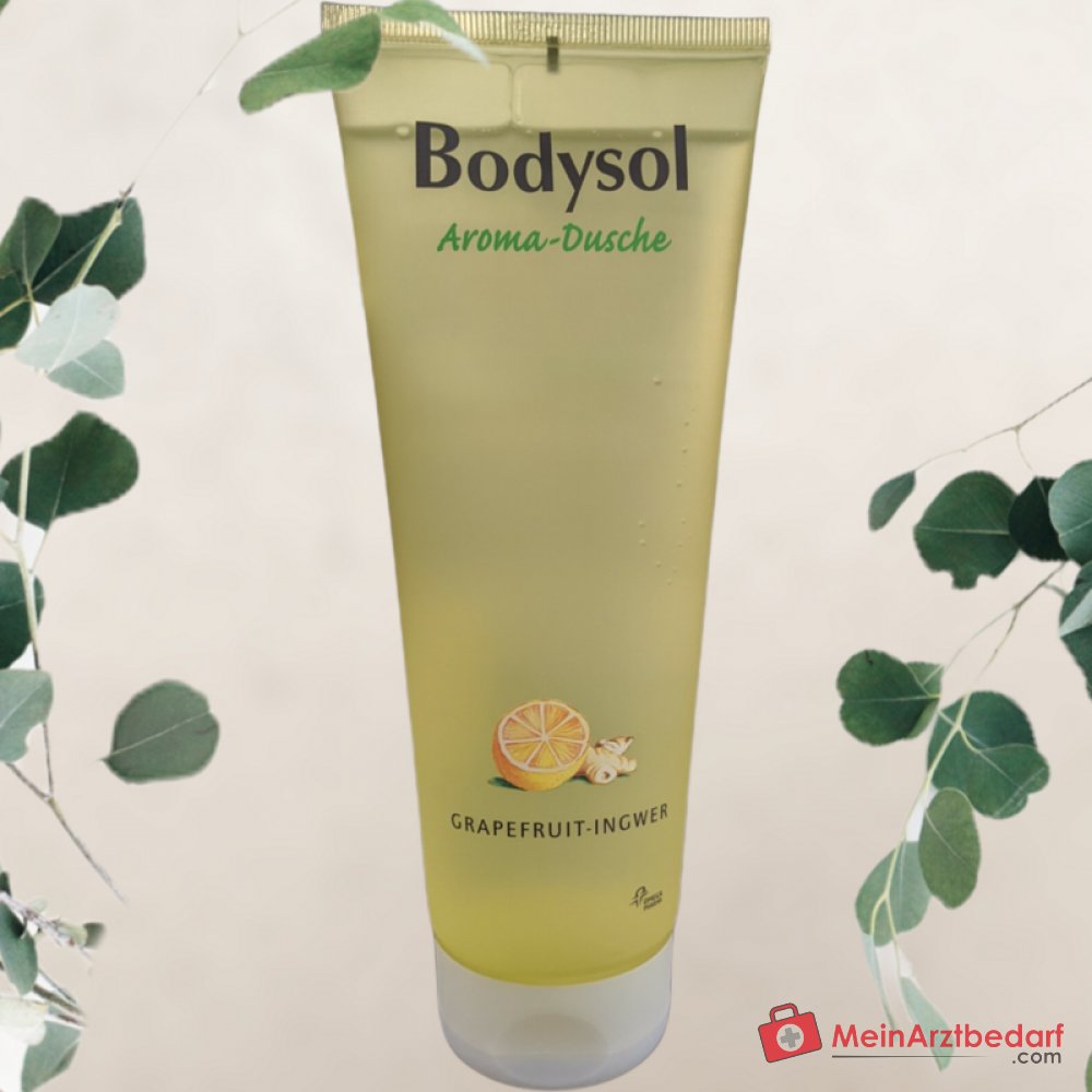 Bodysol Aroma-Dusche Grapefruit-Ingwer Duschgel mit Panthenol, 250 ml.