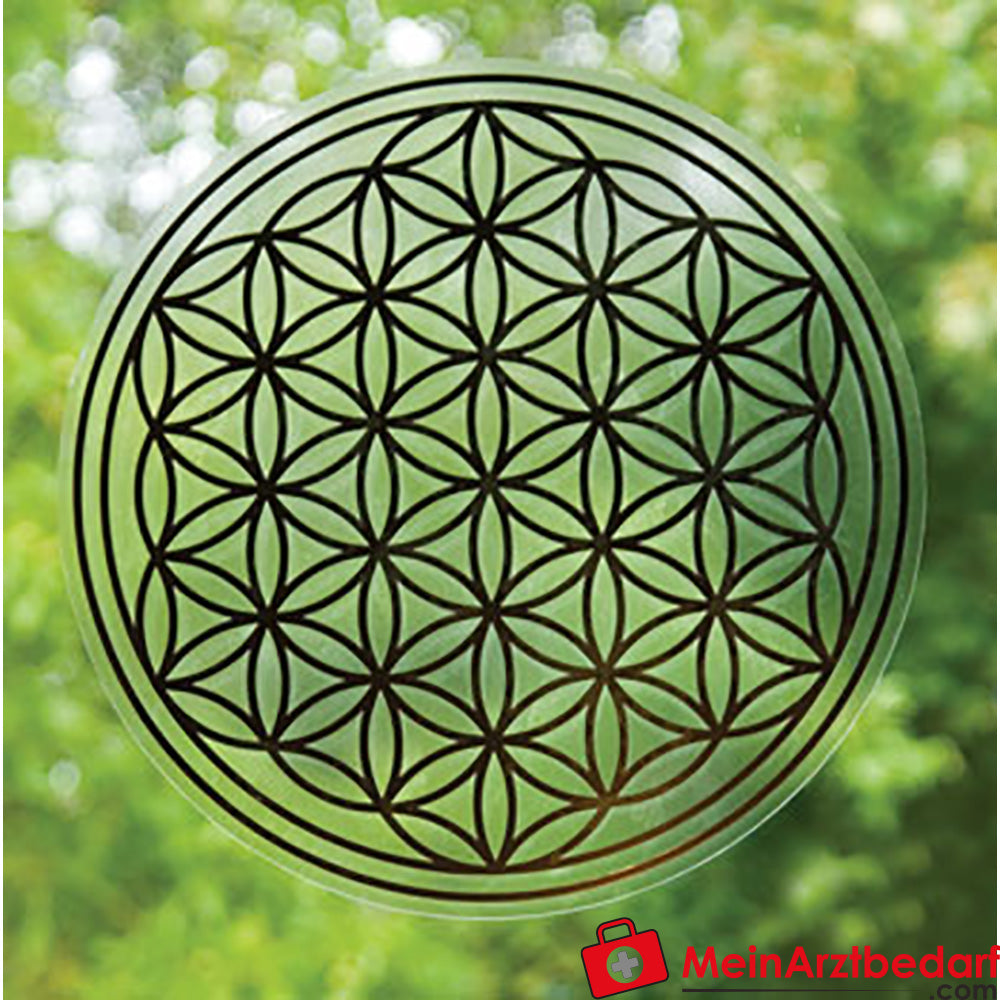 Berk Blume des Lebens.