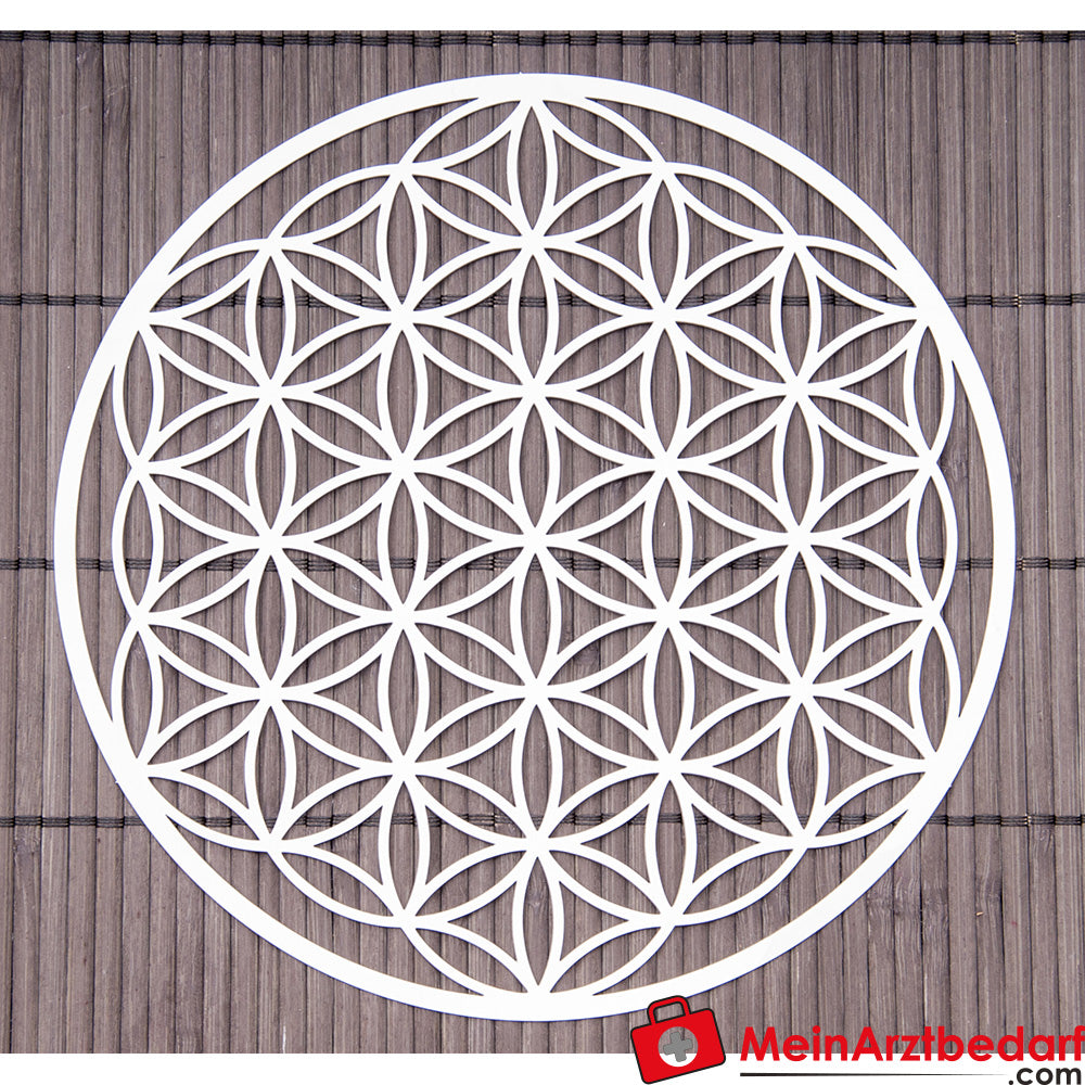 Berk Blume des Lebens.