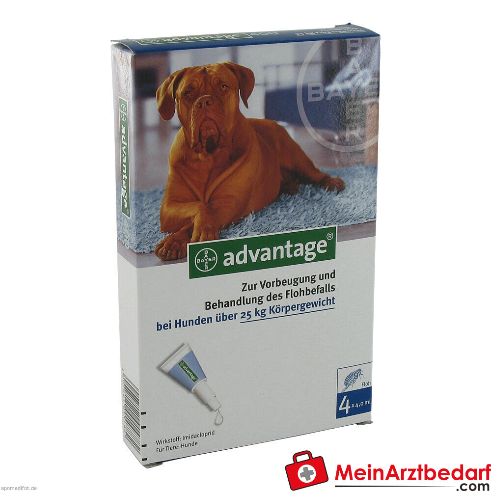 Advantage 400 Hund Pipette 1X4 St.
