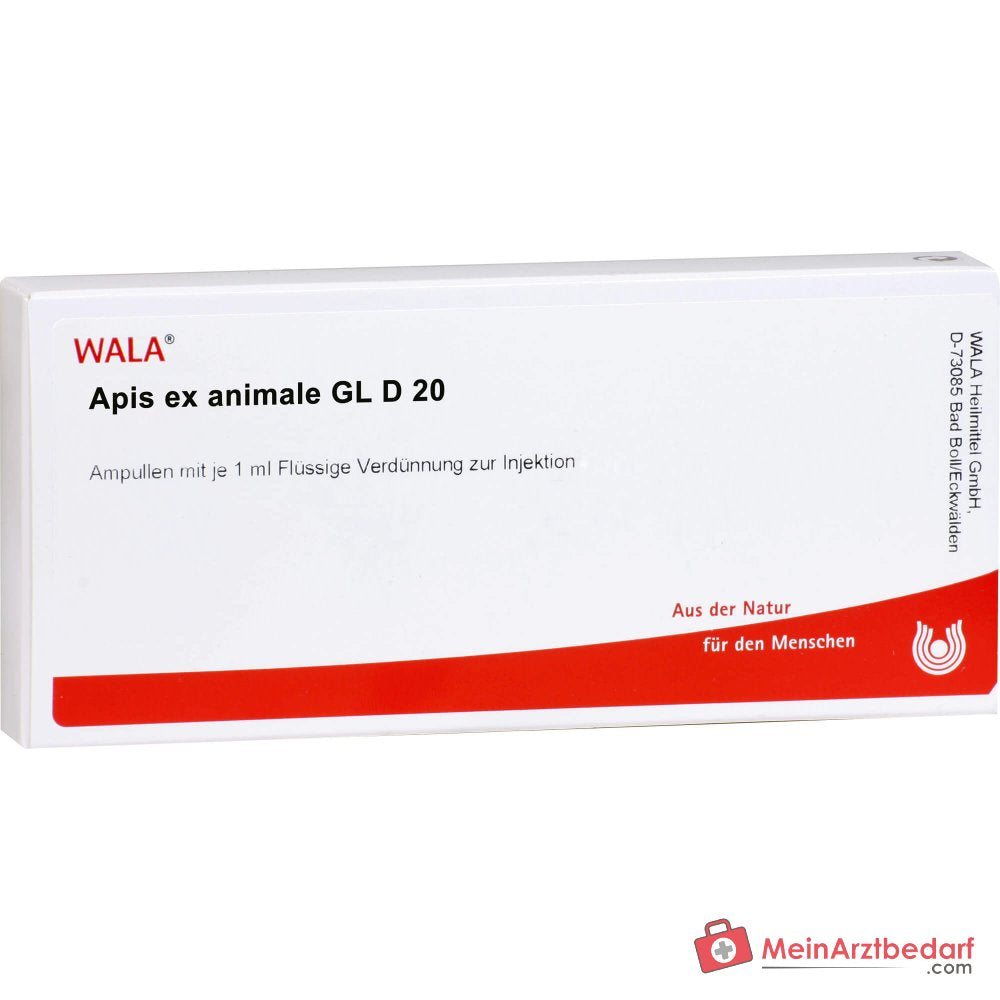 WALA Apis ex animale Gl D20 Apis mellifica ex animale toto Ampullen, 10 x 1 ml