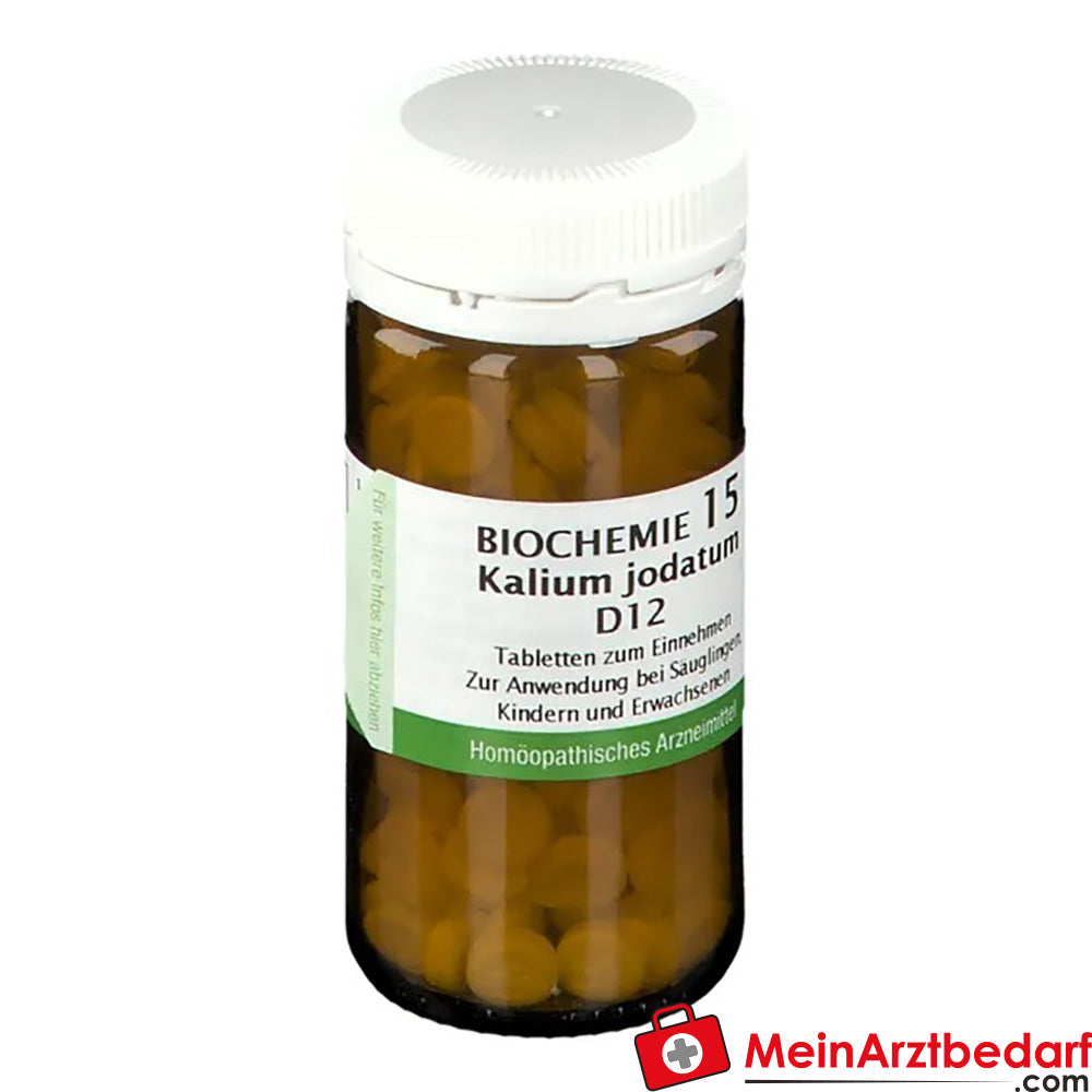 BIOCHEMIE 15 Kalium jodatum D12.