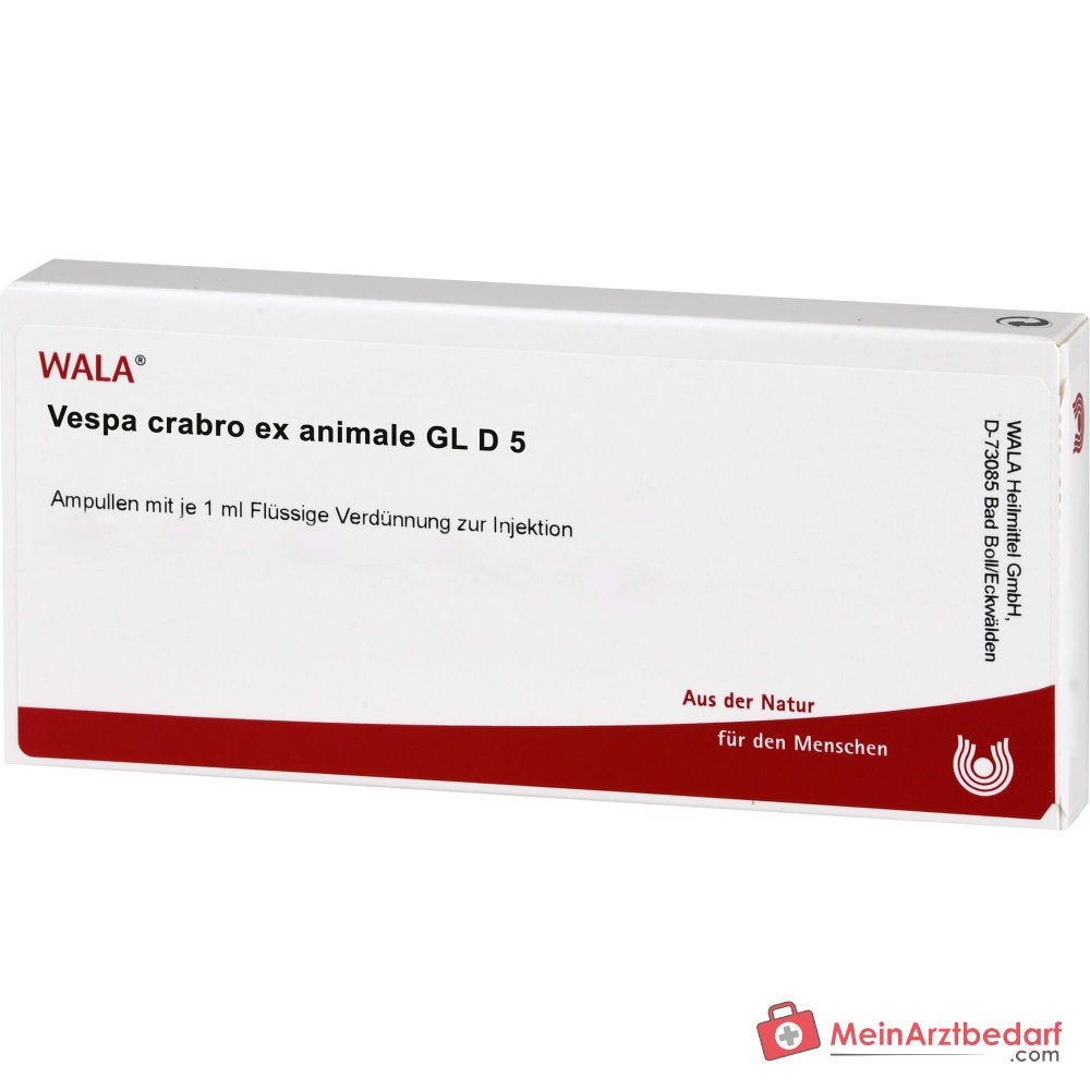 WALA Vespa Crabro ex animale Gl D5 , 10 x 1 ml Ampullen