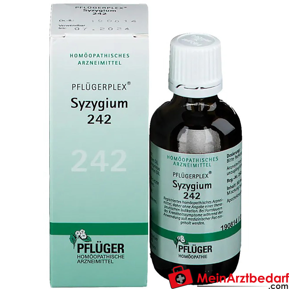 Pflügerplex® Syzygium 242.