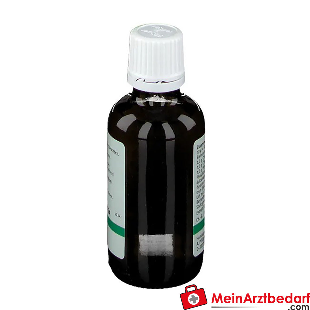 Pflügerplex® Bismutum 173.