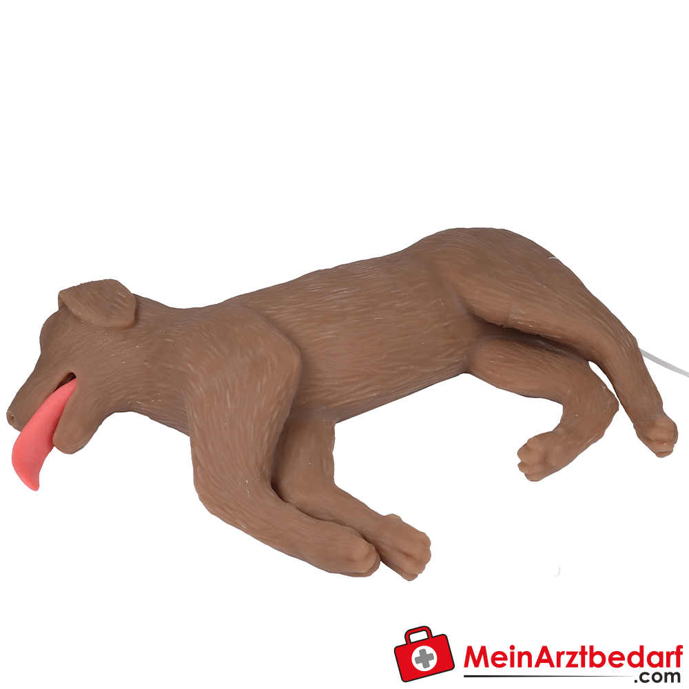 Erler-Zimmer HLW Übungshund Cooper.