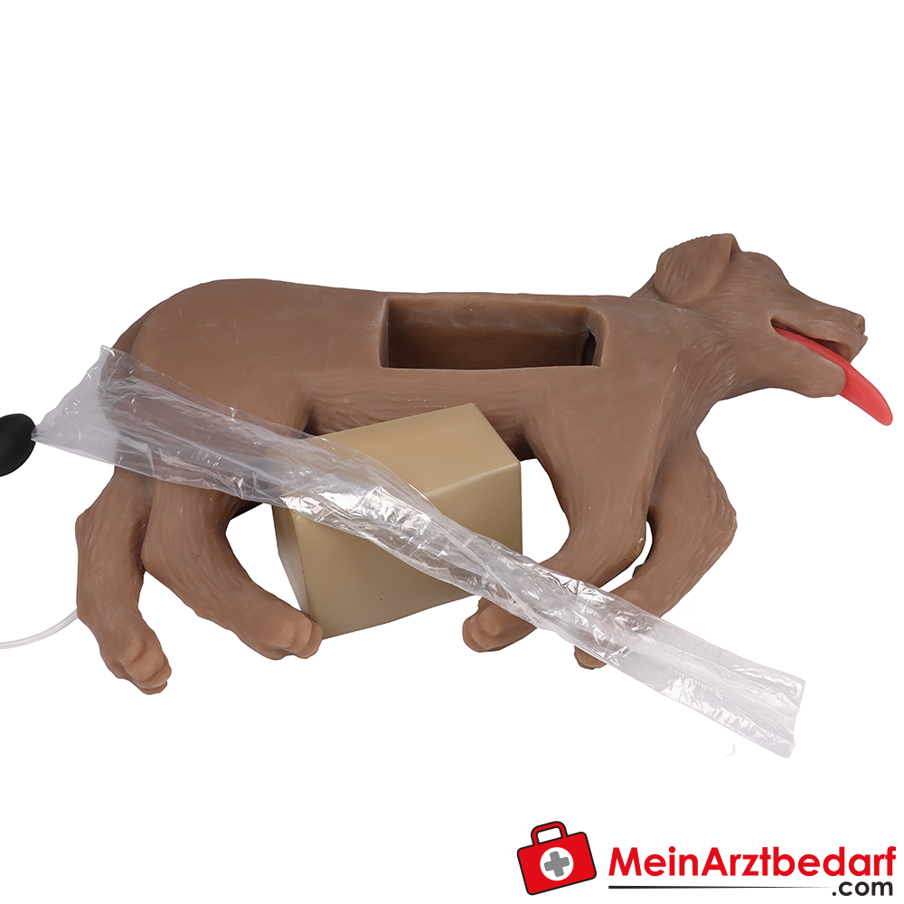 Erler-Zimmer HLW Übungshund Cooper.