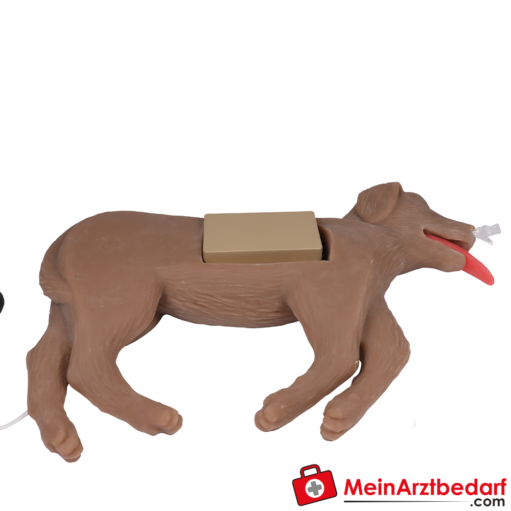 Erler-Zimmer HLW Übungshund Cooper.