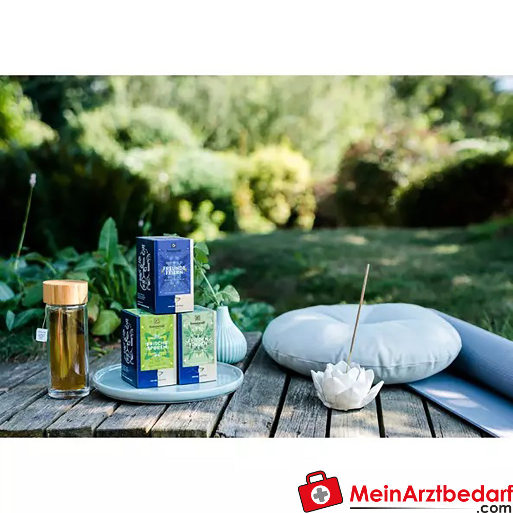 Sonnentor Bio Frieden finden Tee.