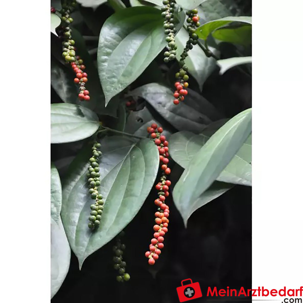 Sonnentor Bio Pfeffer weiß ganz.