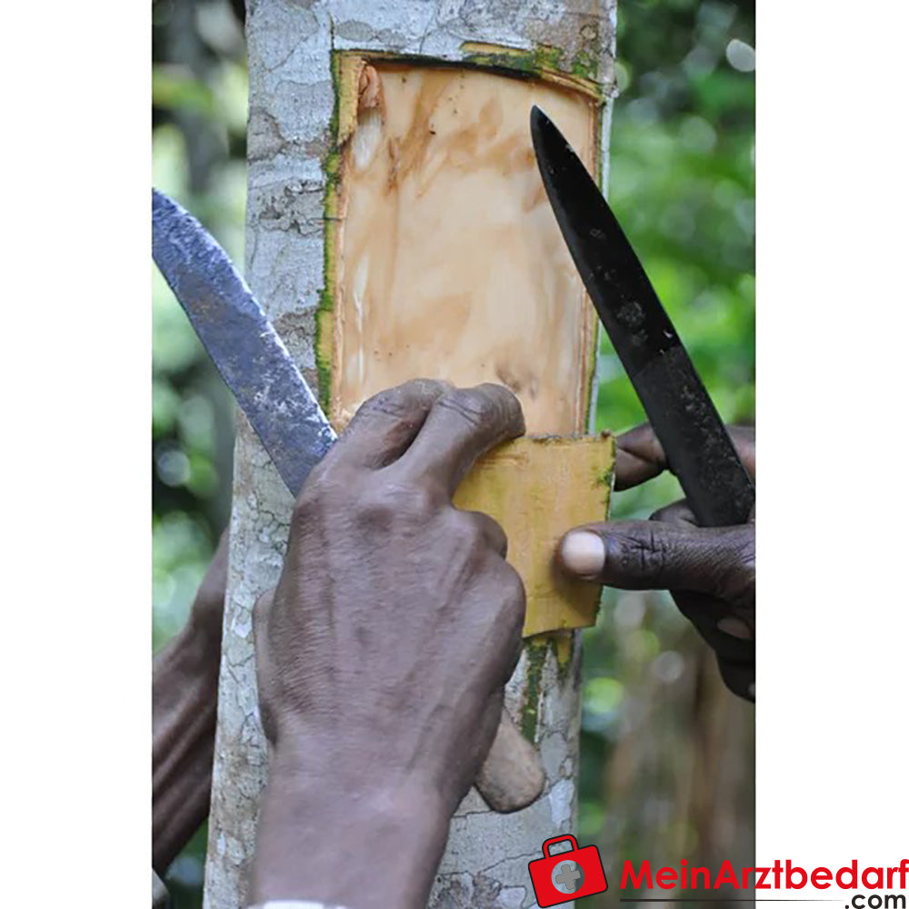 Sonnentor Bio Zimtstangen (Sorte Ceylon).