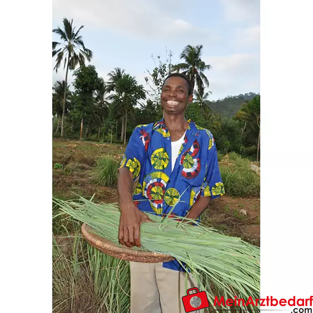 Sonnentor Bio Zitronengras geschnitten.